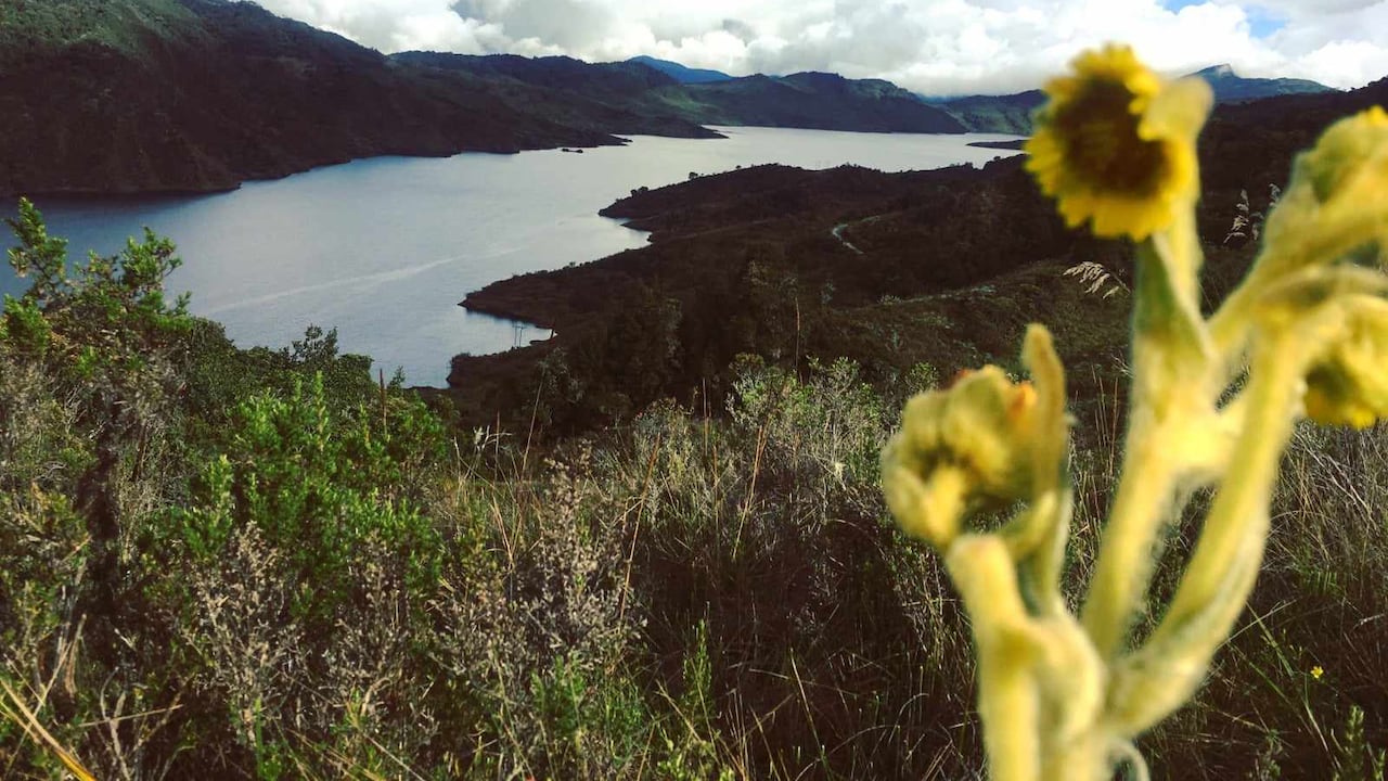 La conservación de los páramos es clave para que ciudades como Bogotá puedan hacerle frente al cambio climático