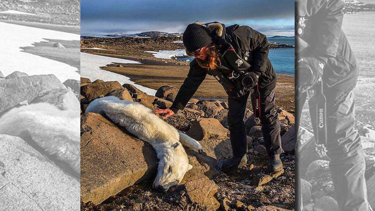 Paul Nicklen / Instagram