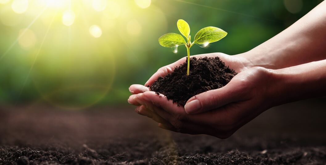 En sus procesos de producción, Top Terra ha hecho todos los ajustes necesarios para reducir las emisiones de gases de efecto invernadero y minimizar su huella de carbono.