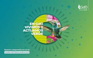 En Gases de Occidente, GdO, una empresa Promigas, se promueve la conservación de la biodiversidad, fortaleciendo la identidad territorial y mejorando la oferta de servicios ambientales.