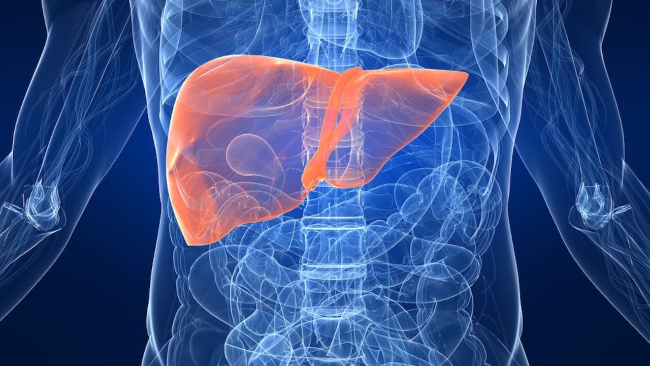 hígado el país