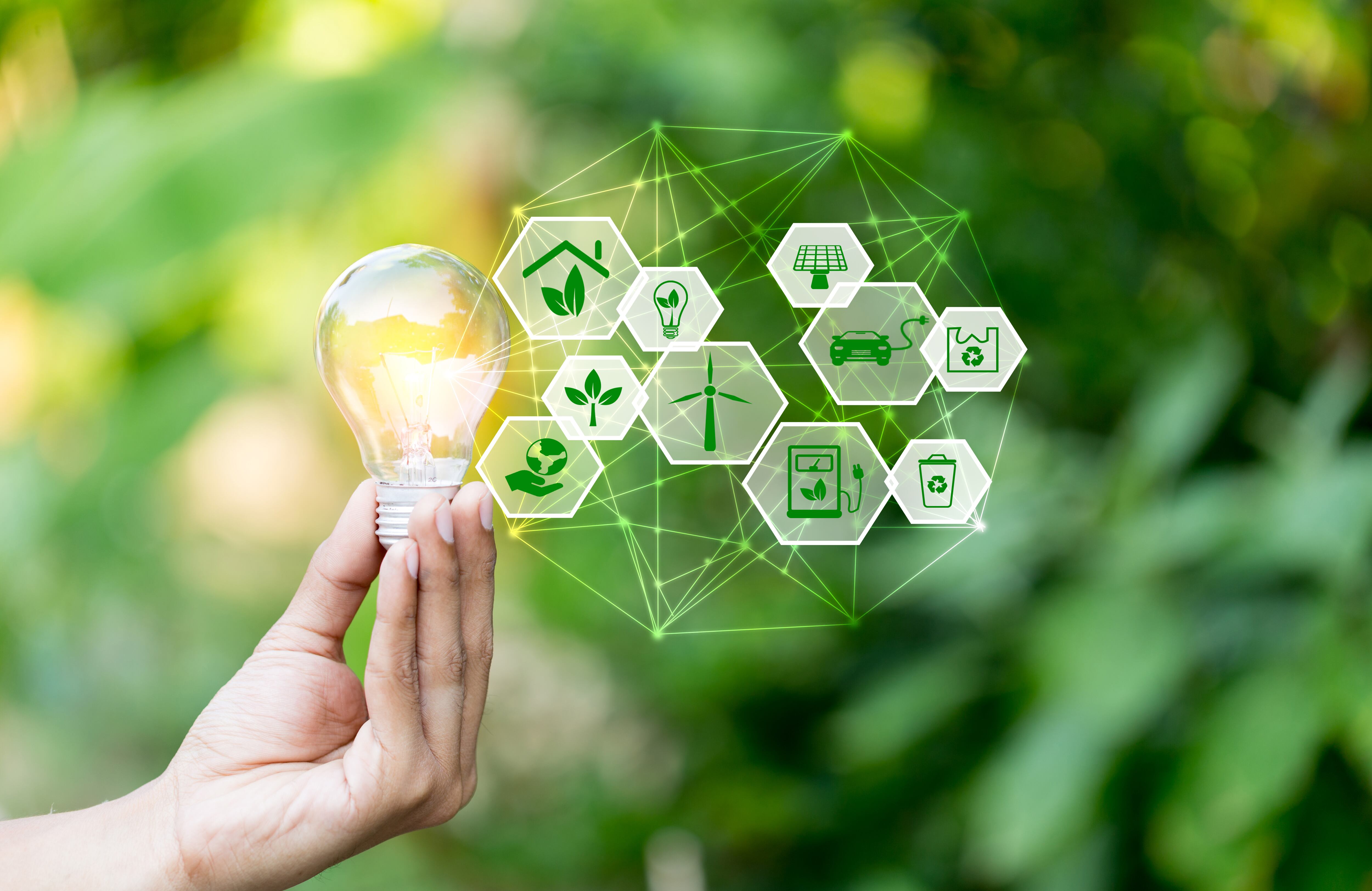 Mano que sostiene la bombilla con fuentes de energía de iconos para renovables, ama el concepto de mundo.