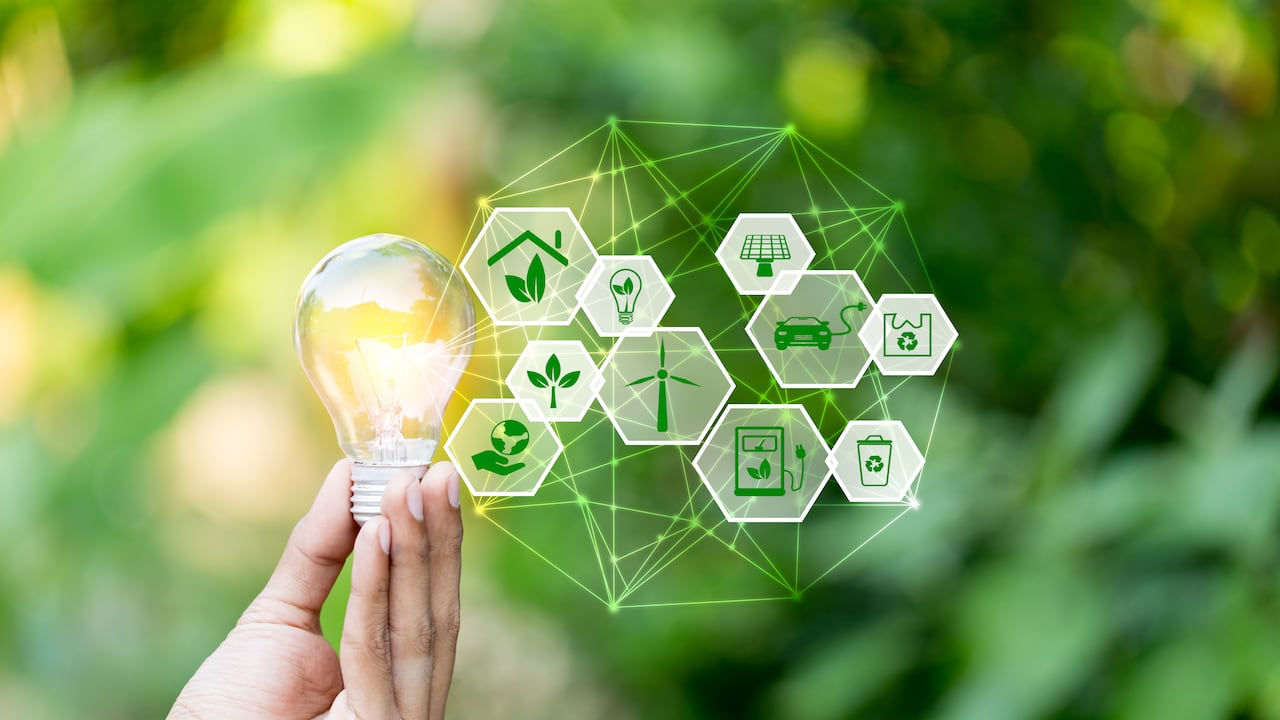 Mano que sostiene la bombilla con fuentes de energía de iconos para renovables, ama el concepto de mundo.