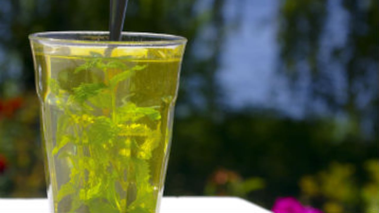 Existen plantas medicinas como la ruda, el eucalipto, entre otras, que pueden ser utilizadas gracias al vapor que lanzan una vez son puestas en agua, ya que sirve como protección al cuerpo.