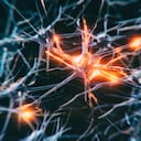 Neuron cells system disease - 3d rendered image of Neuron cell network on black background. Interconnected neurons cells with electrical pulses. Conceptual medical image. Glowing synapse. Healthcare, disease concept.