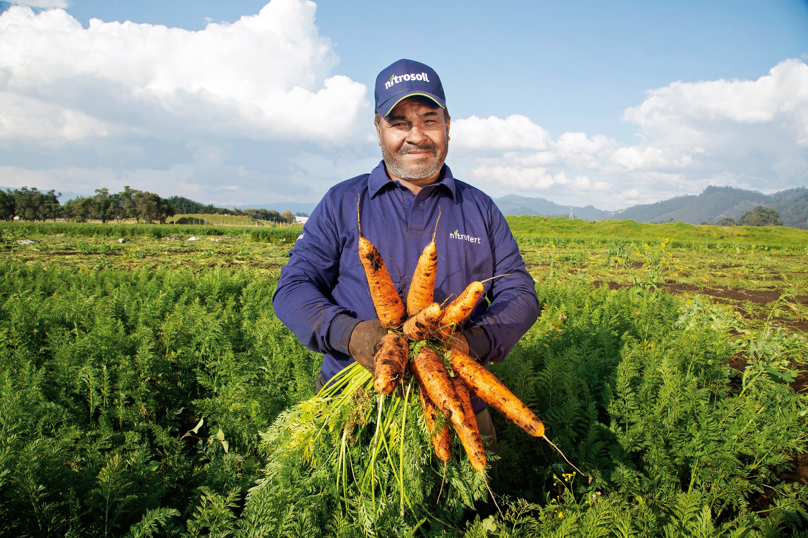 La tecnificación y el financiamiento les permite a los productores del sector tener una mayor  flexibilidad financiera.