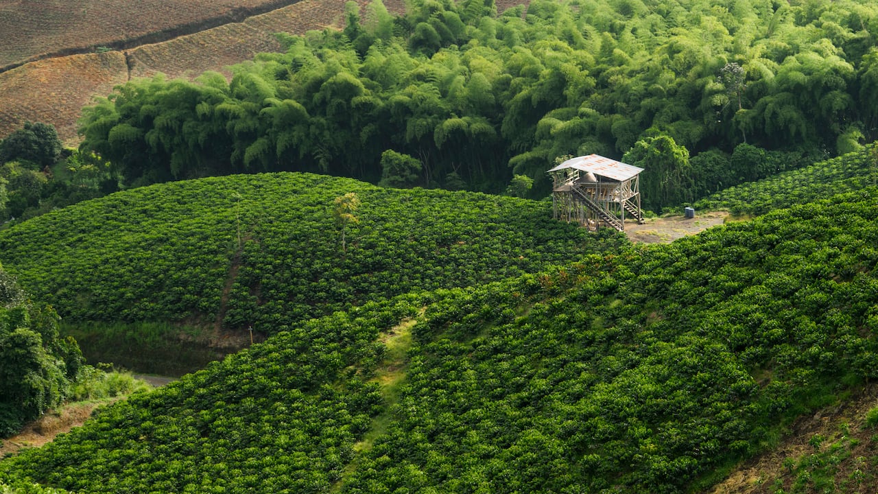 Foro Colombia Rural 2025 se consolida como un espacio de reflexión y diálogo entre los actores que están definiendo el nuevo rumbo del agro nacional.