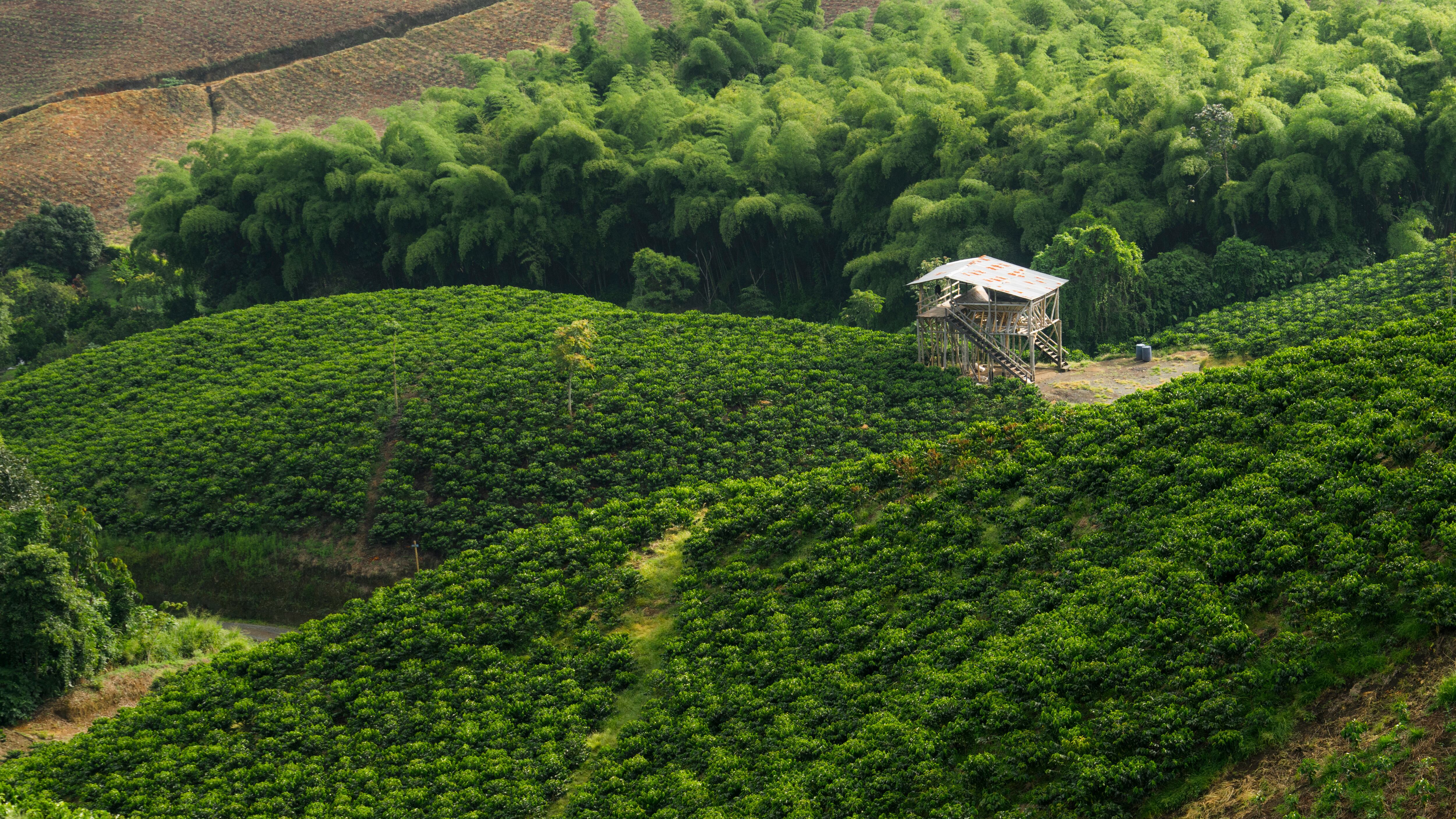 Foro Colombia Rural 2025 se consolida como un espacio de reflexión y diálogo entre los actores que están definiendo el nuevo rumbo del agro nacional.