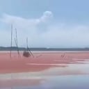 El humedal enfrenta una crisis ambiental que preocupa a habitantes y expertos.