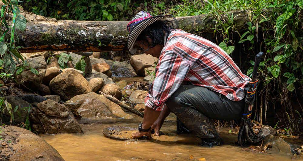 Con la batea, herramienta principal para barequear, los indígenas de Frontino extraen oro libre de mercurio.