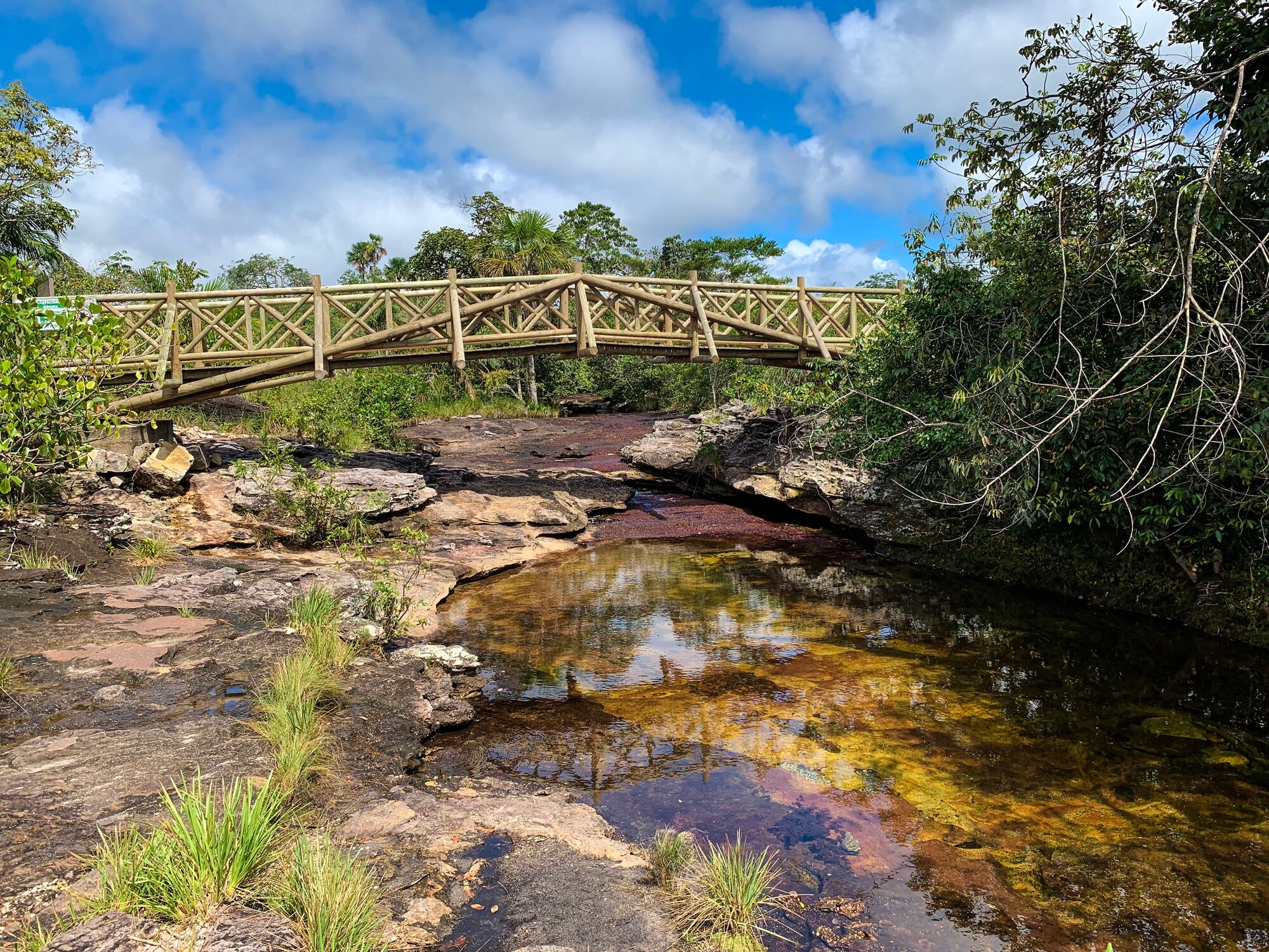 Caño Cristales, en el Meta