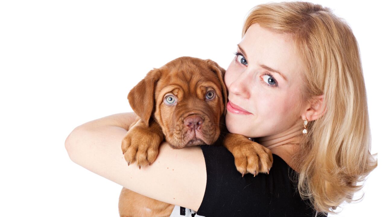 En la actualidad existen estudios científicos para saber por qué los perros se parecen a sus dueños.