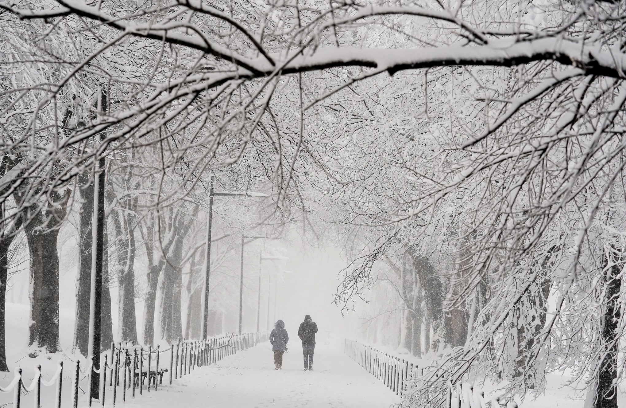 Washington se viste de blanco