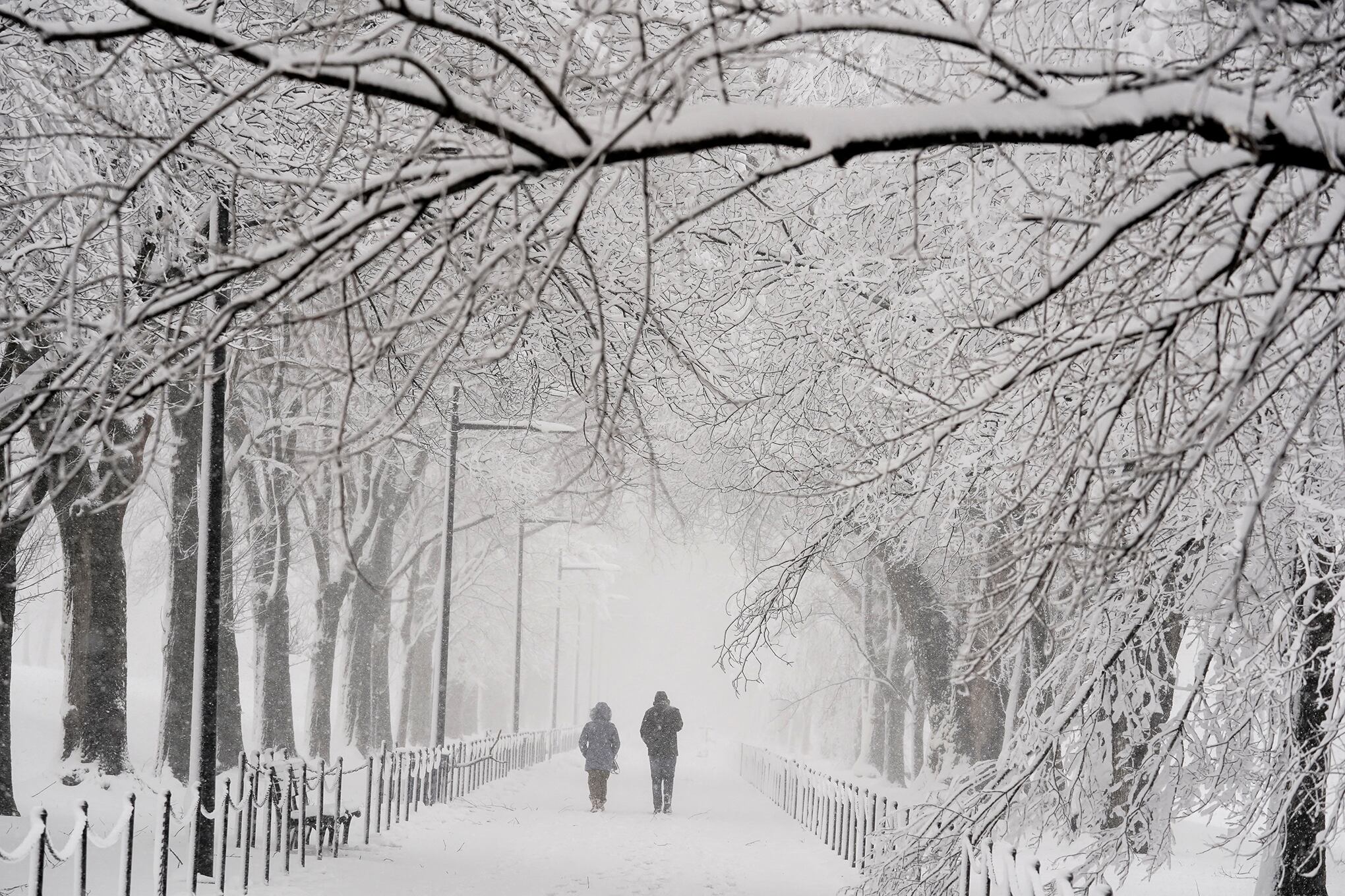 Washington se viste de blanco