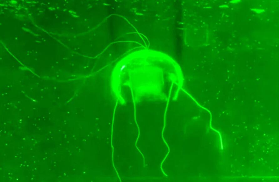 La comunidad internacional observa con preocupación el desarrollo de un dispositivo acuático chino capaz de infiltrarse en aguas sensibles sin dejar rastro.