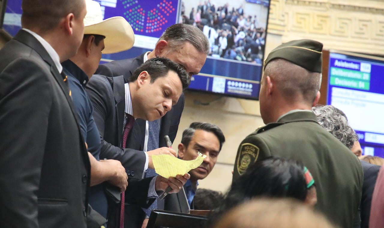 Plenaria de senado, consulta popular