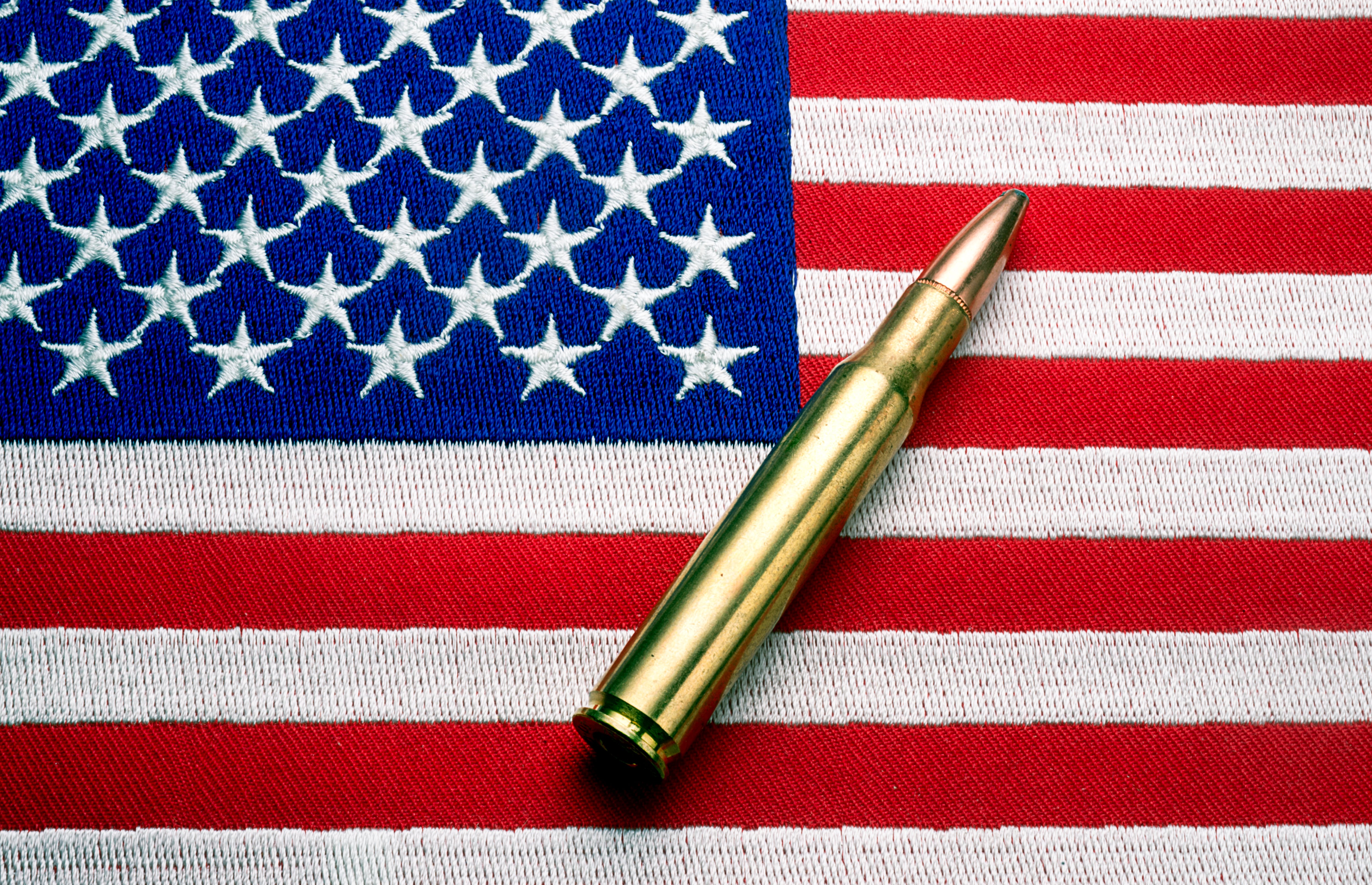 En 2024, el sistema FMS manejó transacciones por más de 118.000 millones de dólares, lo que subraya su relevancia estratégica.