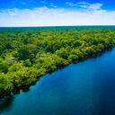 Las comunidades del Amazonas trabajan en la restauración ecológica de la región para frenar la reforestación.
