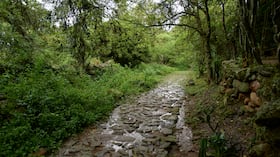 Lengerke camino