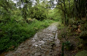 Lengerke camino