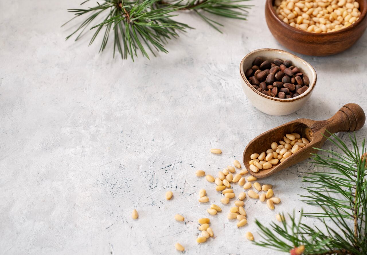 En muchas culturas, las lentejas se asocian con la buena suerte y prosperidad.