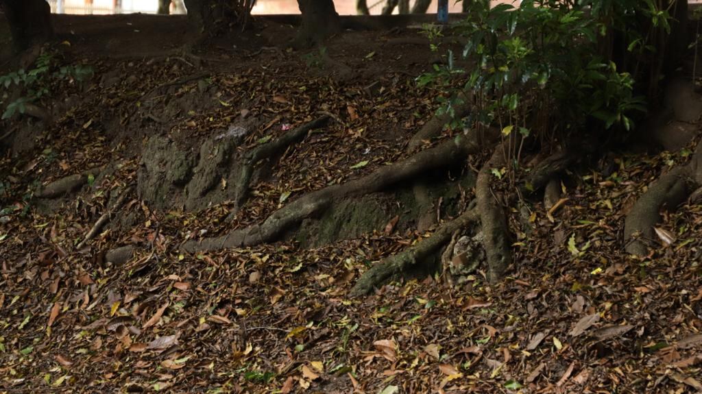 Parque el Virrey Bogotá
