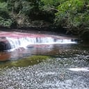 Autoridades ambientales hacen un llamado a respetar las normas de los parques para proteger la biodiversidad.