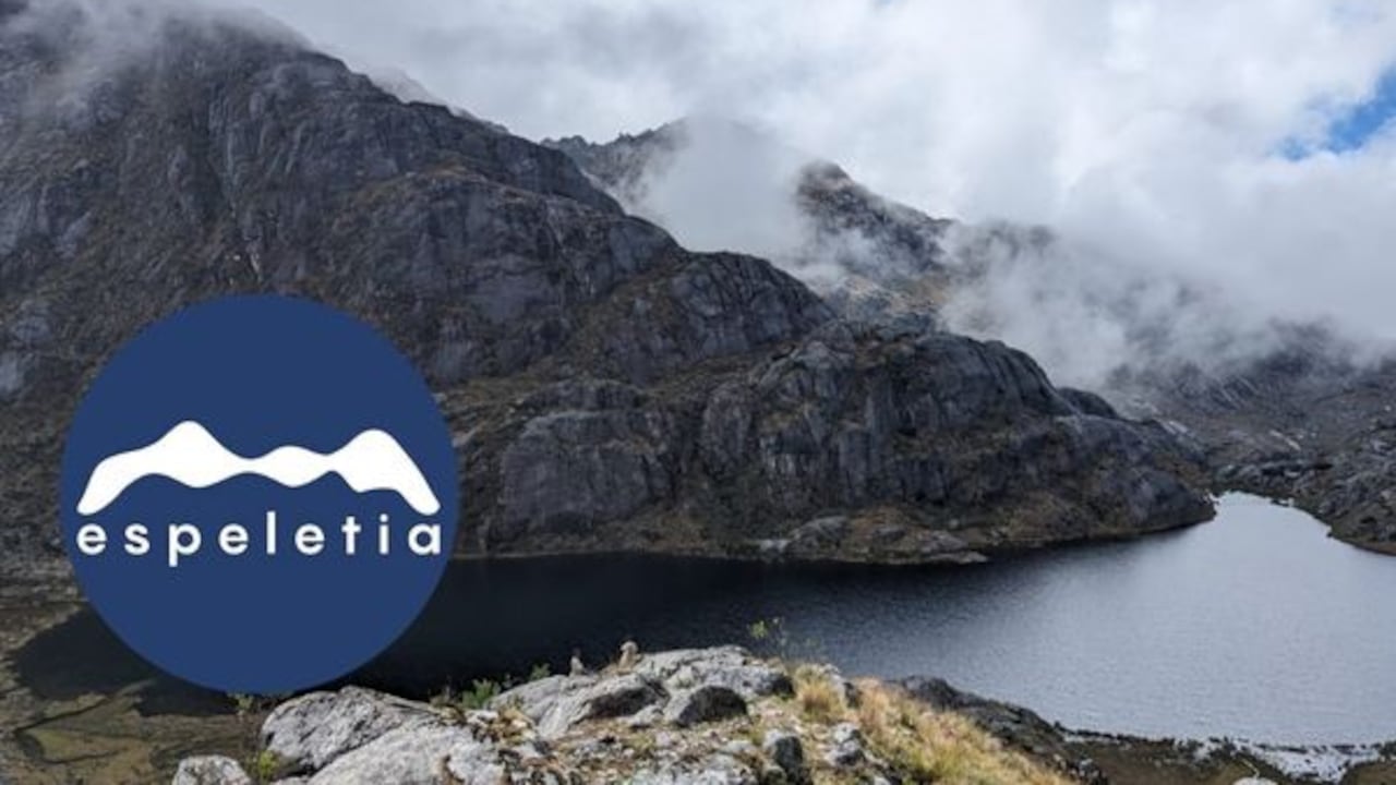 Esta fue una de las fotografías de la expedición a la Sierra Nevada de Santa Marta tomada por uno de los clientes de Espeletia Adventures.