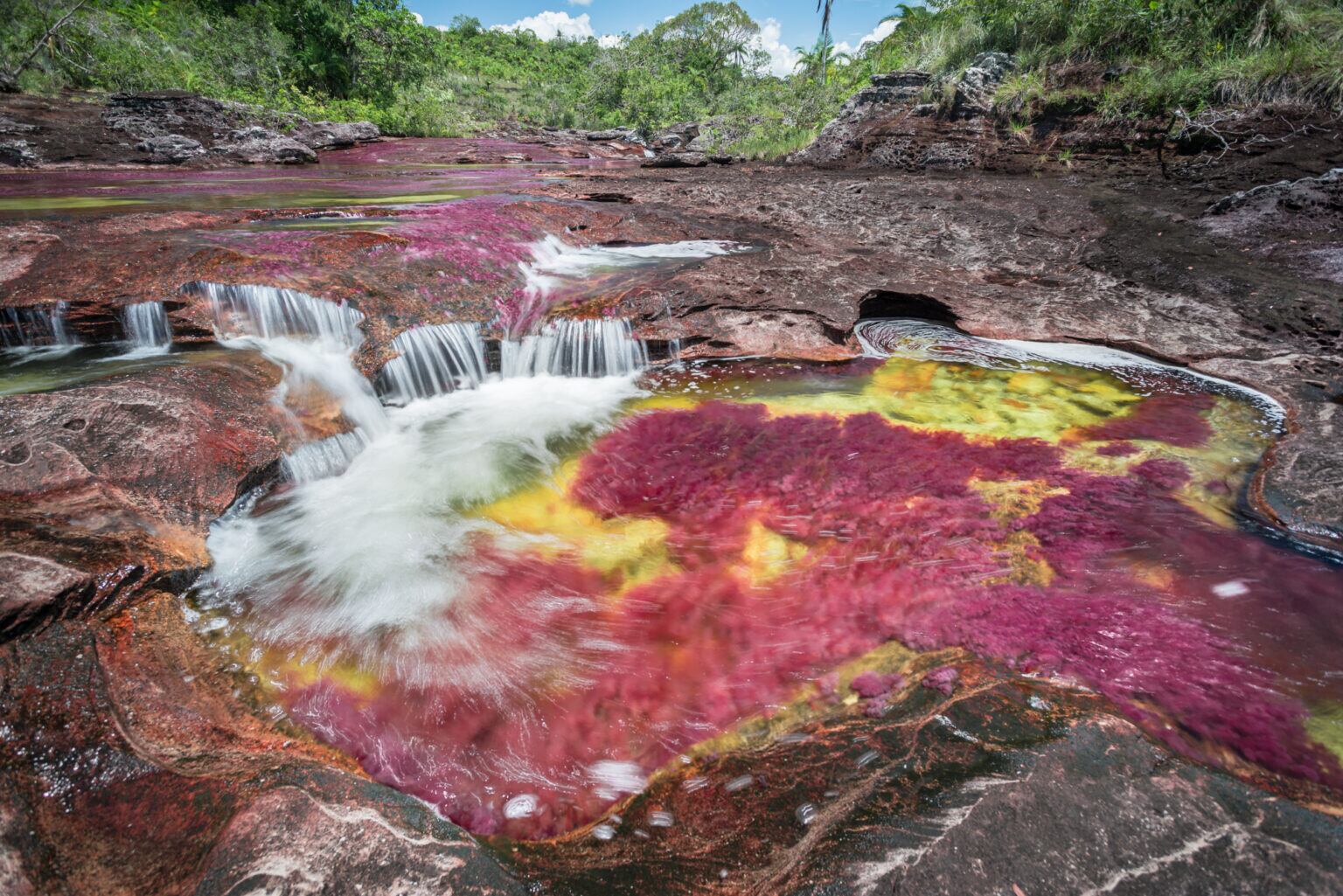 Las formaciones rocosas de Caño Cristales alcanzan los 1.200 millones de años de antigüedad.