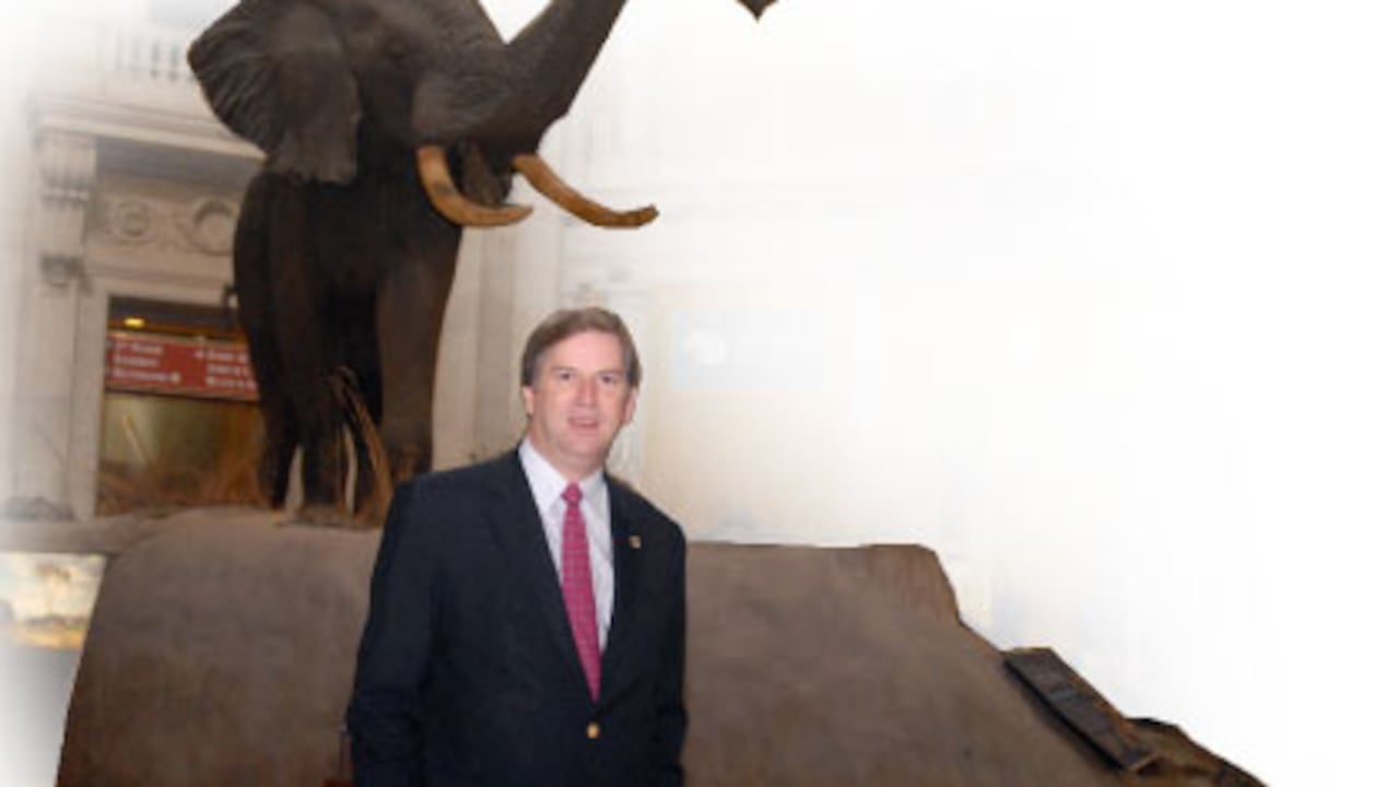 Una de las atracciones del museo dirigido por Samper es este elefante de 12 toneladas