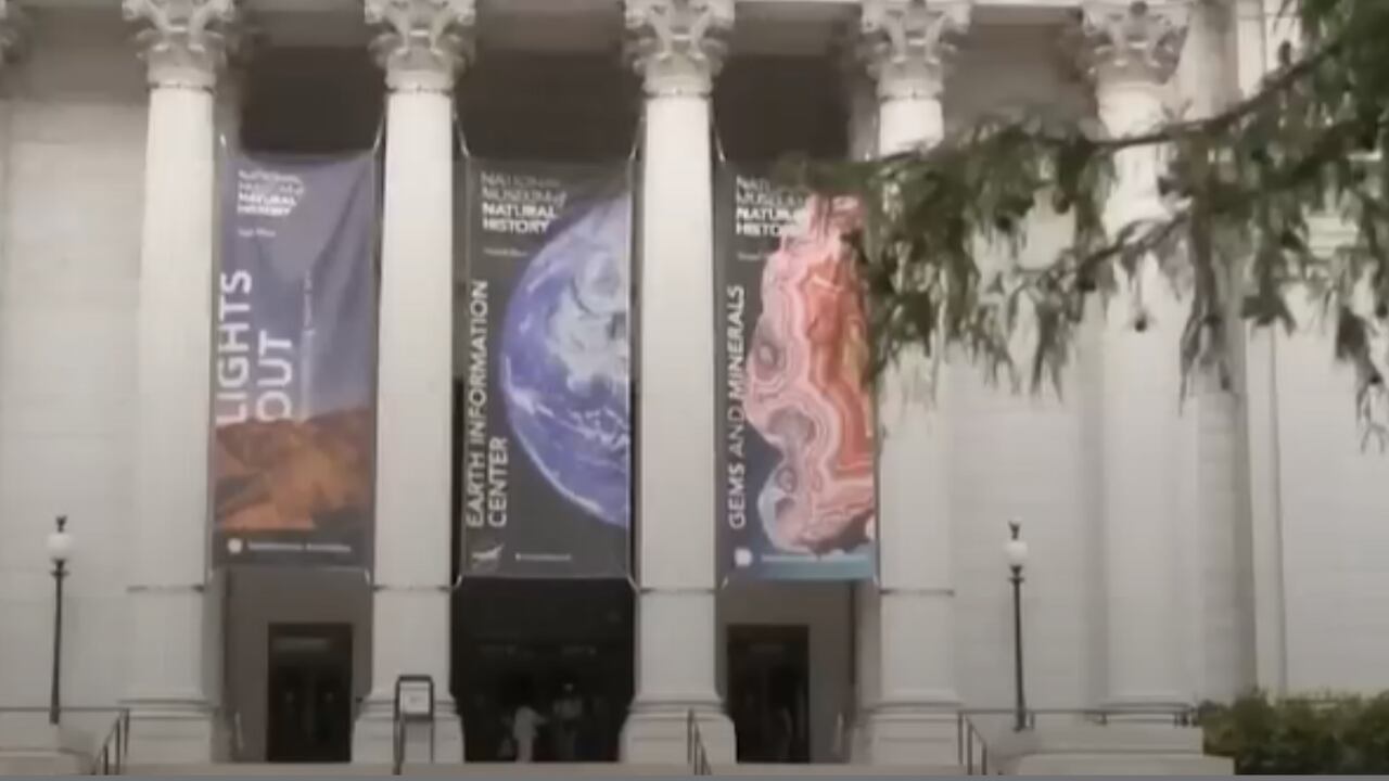 Trump pide abrir investigaciones contra museos en EE. UU.