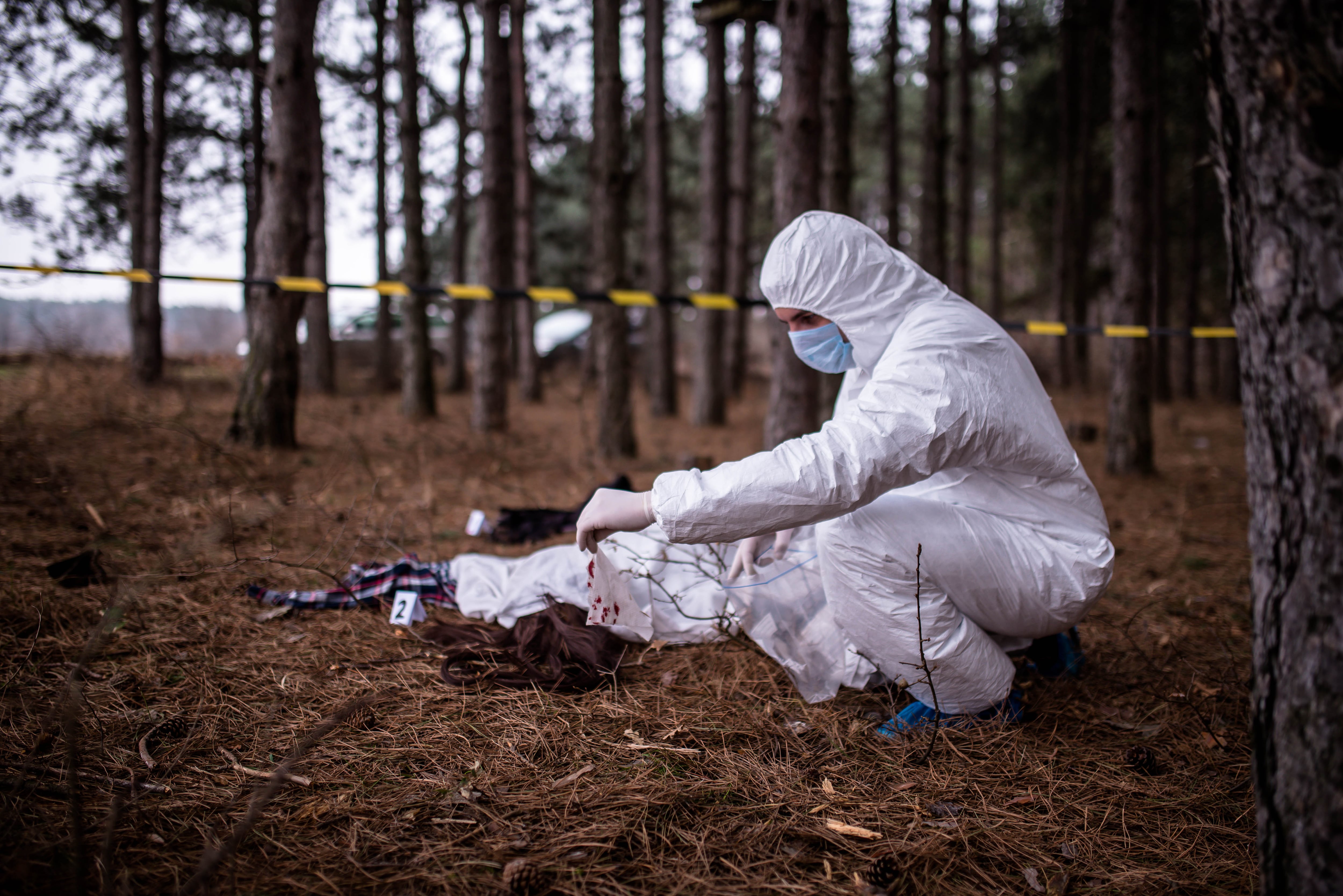 crime scene in the forest