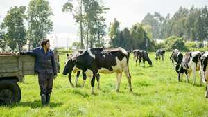 Con programas como la Vaca madrina la empresa trabaja para que el ciento por ciento de la leche provenga de la ganadería sostenible.
