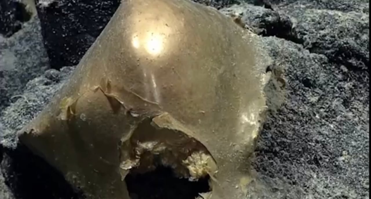 Huevo de oro. Foto: Captura de pantalla video NOAA.