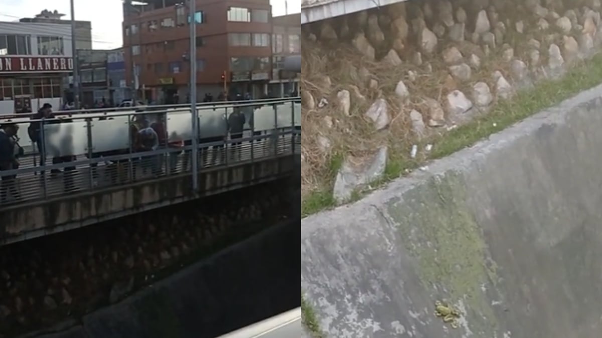 Usuarios del sistema se sorprendieron con lo que al parecer era una rana gigante en estación de Transmilenio.
