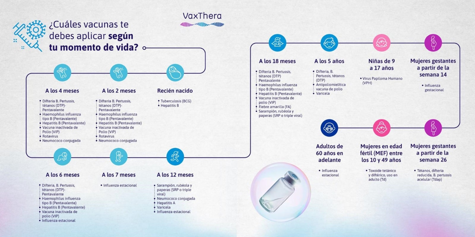 Vacunas que se deben aplicar según la edad.