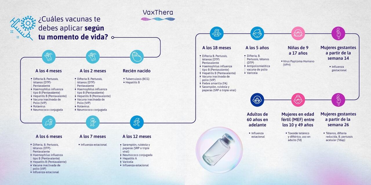 Vacunas que se deben aplicar según la edad.