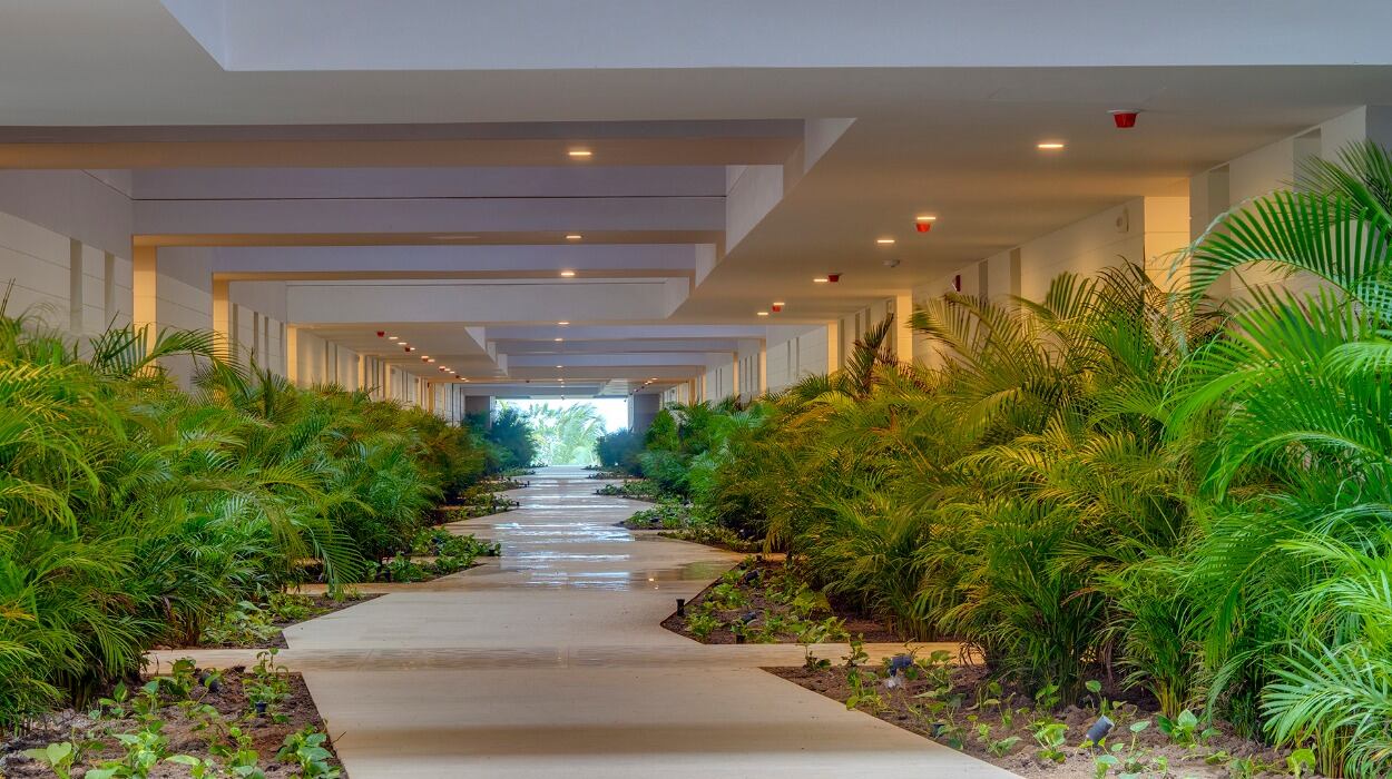 Arquitectura biofílica, privilegiando la naturaleza en todos sus ambientes.