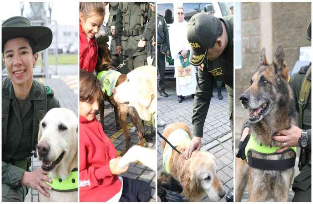 La adopción de los perros policías que se jubilaron. Foto: Policía Antinarcóticos