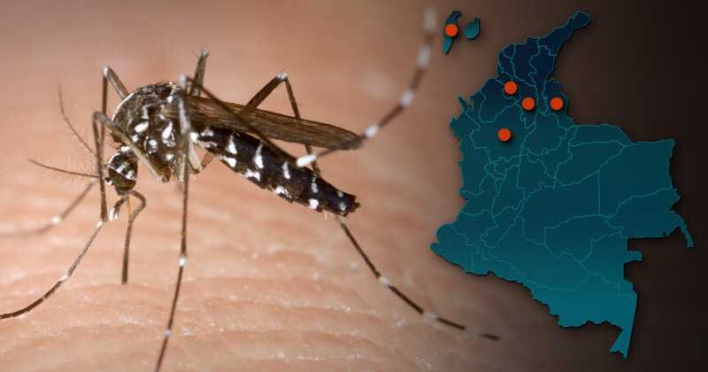 Los casos de Zika en el país se han presentado en Bolívar, Antioquia, San Andrés, Sucre y Norte de Santander.  Foto: Archivo Particular