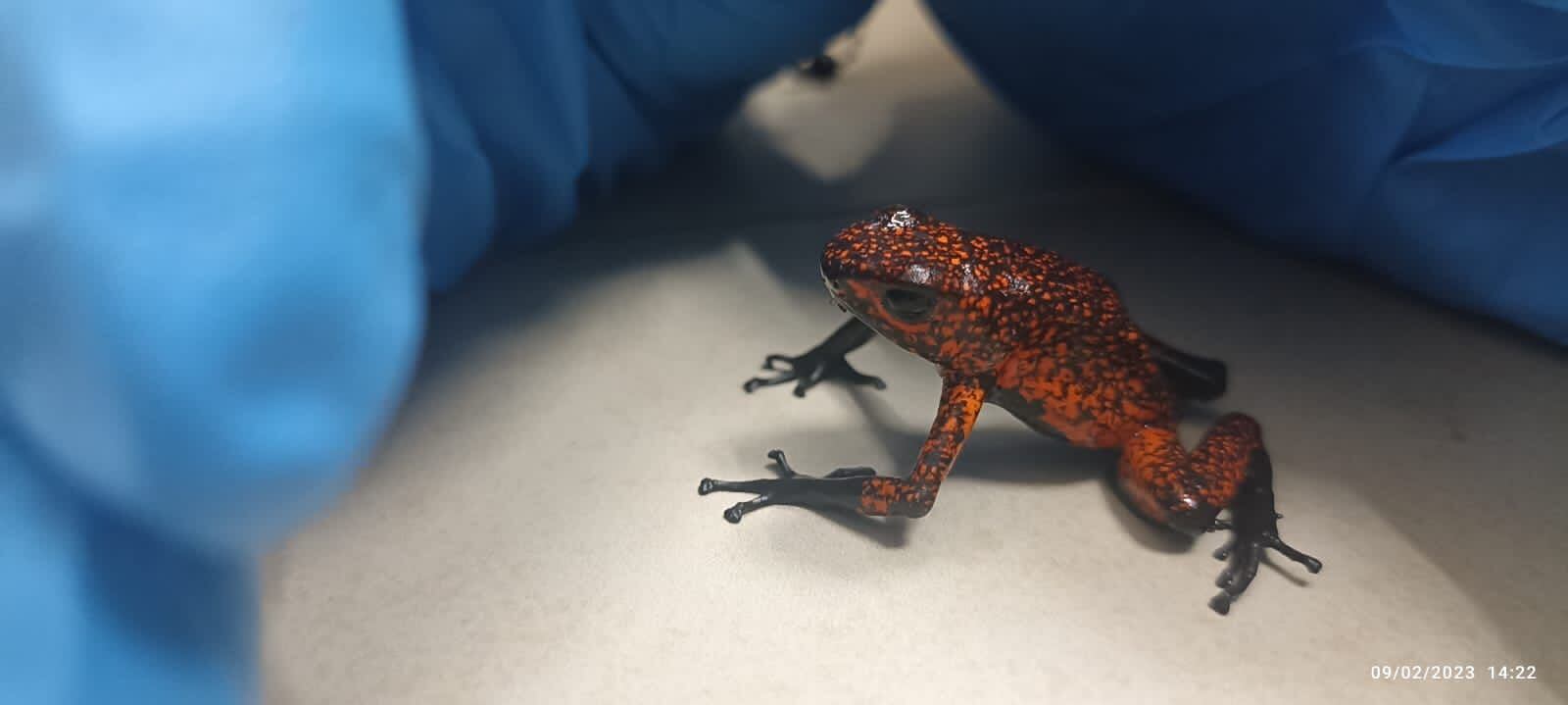 Corporación autónoma regional del Valle del Cauca