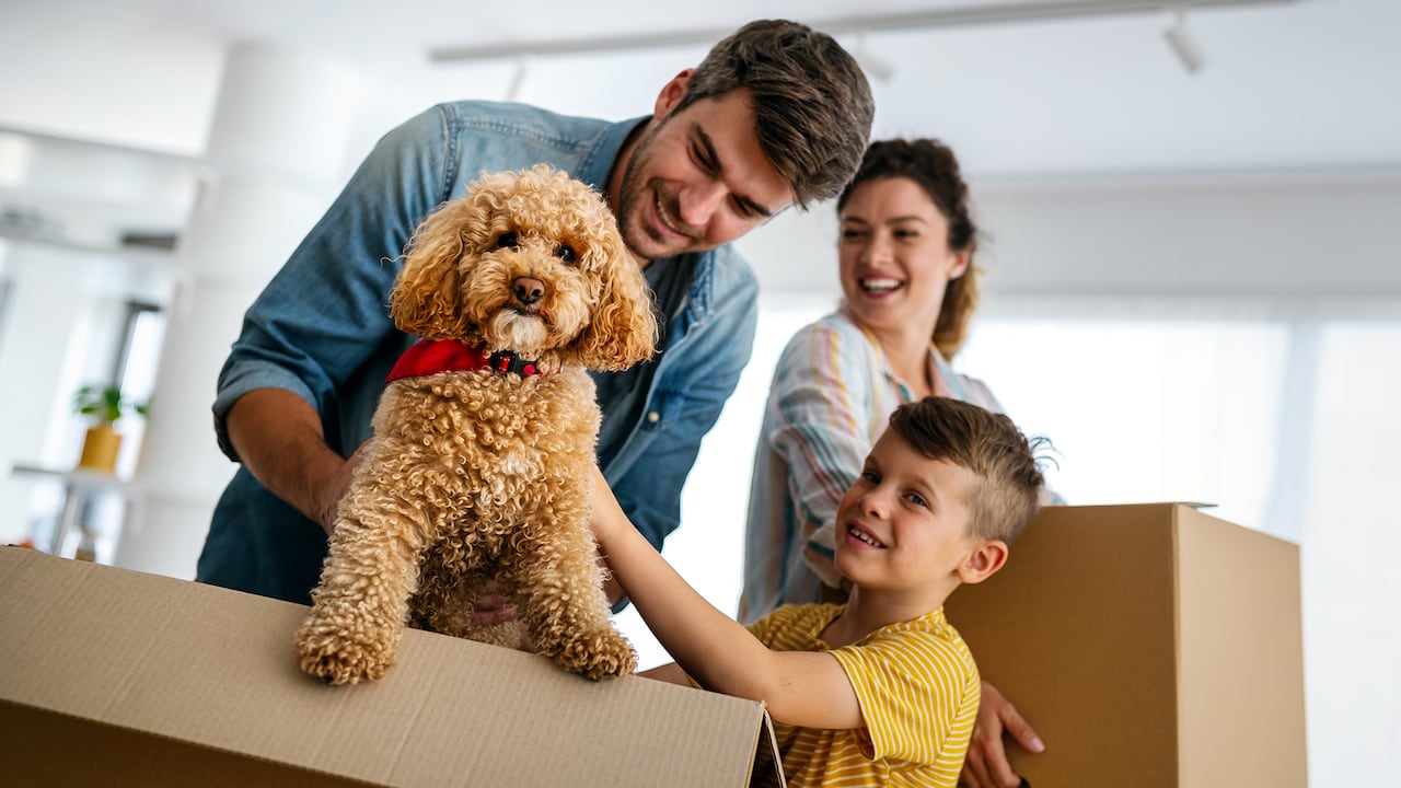 La compañía tiene productos para nuevos consumidores. Por ejemplo, el portafolio incluye el Seguro Peludo, que cubre daños a terceros y asistencias para la mascota.