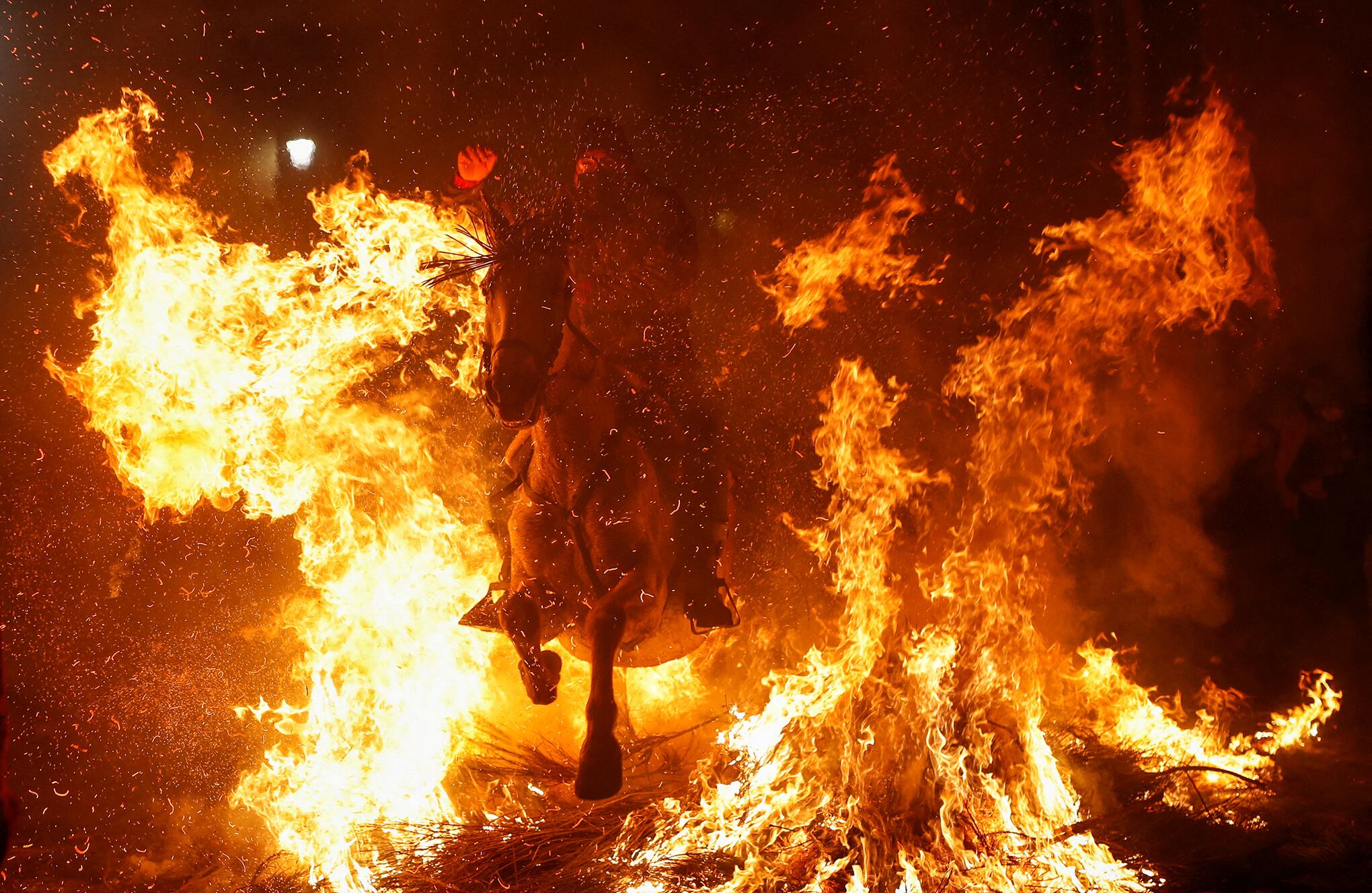 Fotos de la seman 21 enero