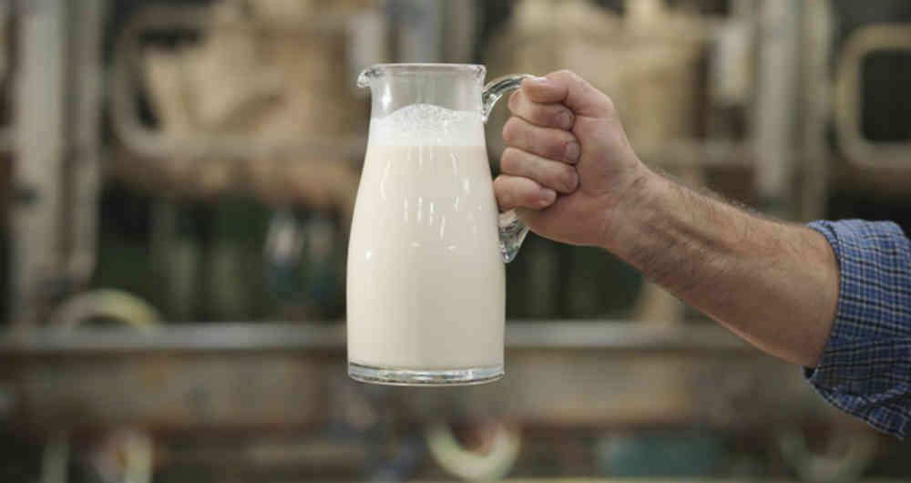 De acuerdo con la Fundación Española de la Nutrición, la leche “constituye el mejor aporte de calcio".