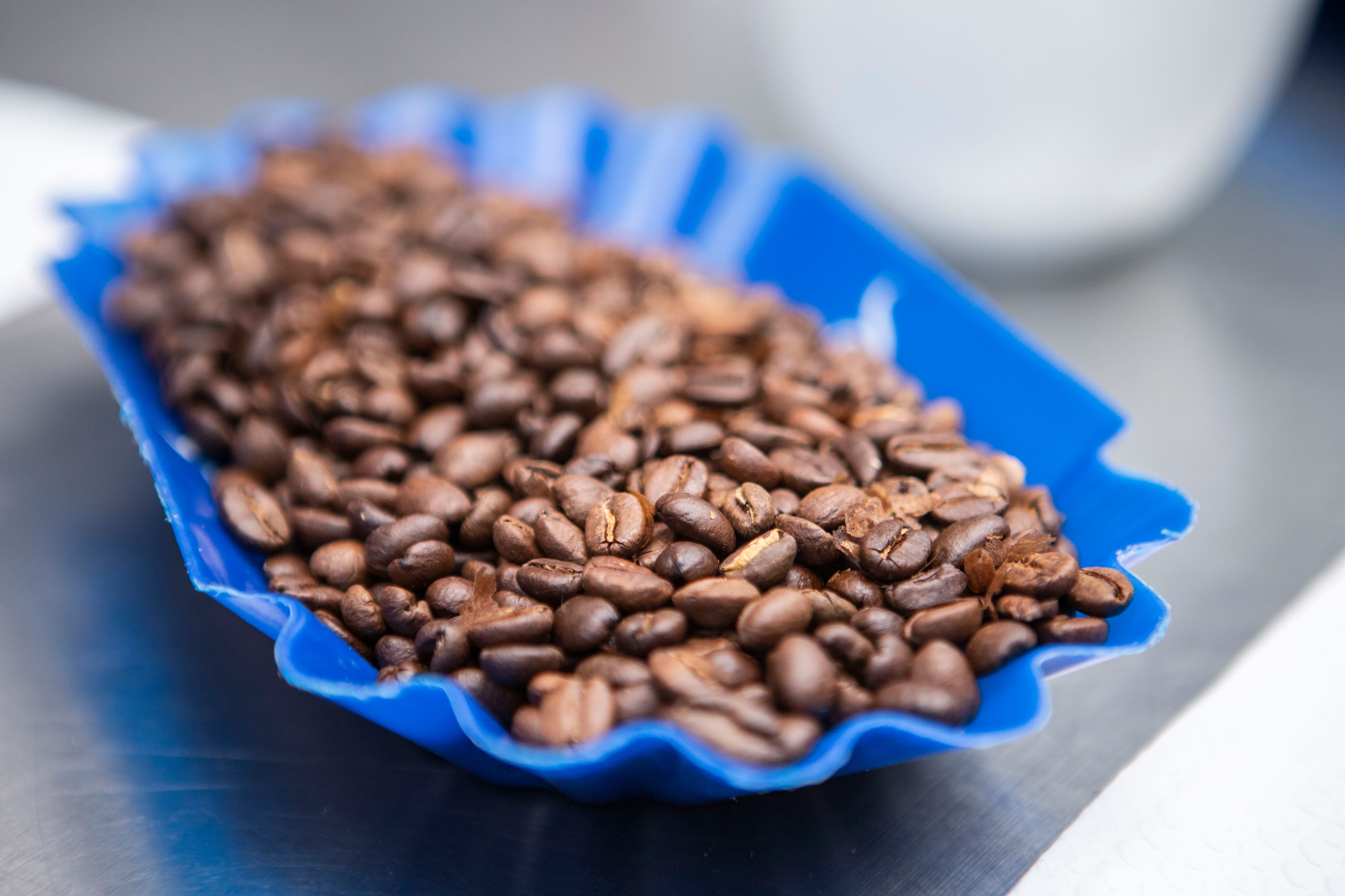 Cafe del Futuro
cata de cafes, que organiza la embajada de Noruega y Solidaridad Network.
historia de los productores de este café, con enfoque de mitigación de cambio climático.