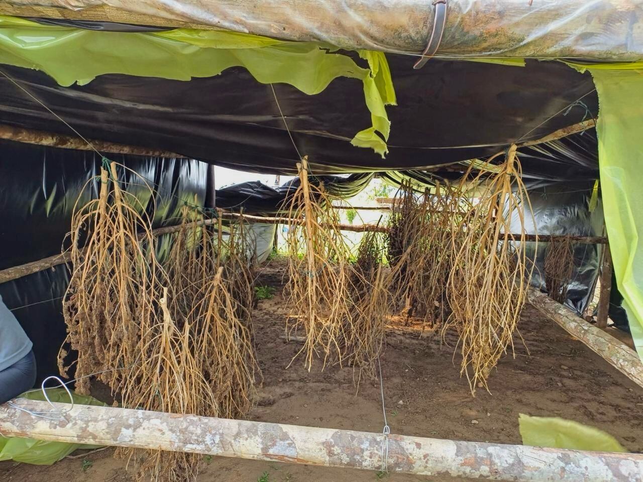 Denuncian ecocidio en el departamento del Meta.