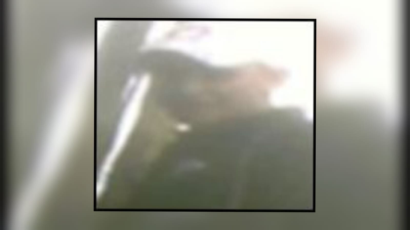 Según agencias de inteligencia del Estado, alias Daniel o Ñelo, es el cabecilla del área Magdalena del ELN.