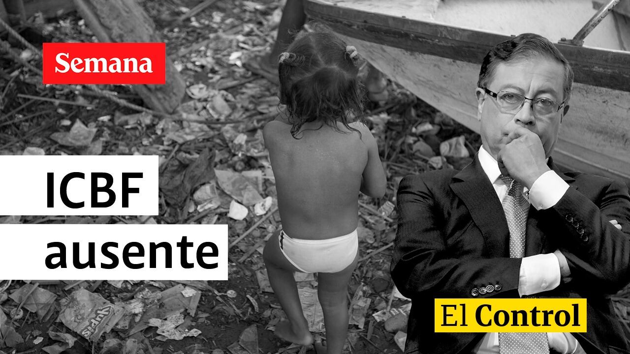 El Control a la desprotección de niños por parte del ICBF