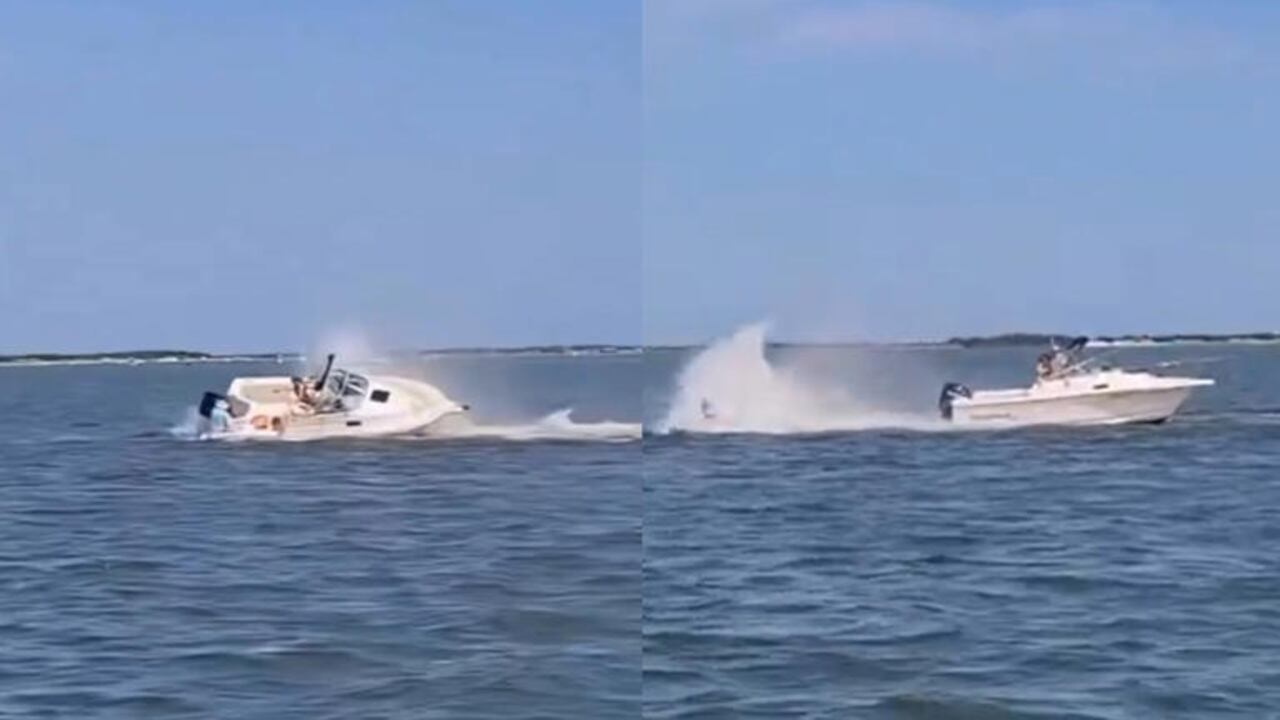 accidente ballena