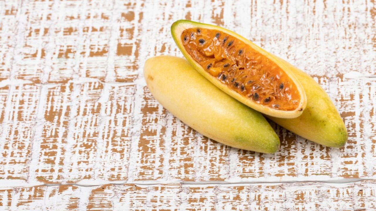 Alimento para los problemas renales y el sistema inmune.